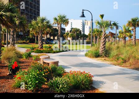 Un sentiero conduce attraverso un parco paesaggistico con alberi di palmetto vicino alla sabbia di Myrtle Beach, South Carolina Foto Stock