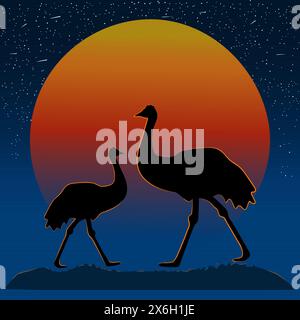 Silhouette EMU sullo sfondo del tramonto. Tramonta in Australia con stelle cielo e figura di struzzo. Giorno dell'Australia. Struzzo a luna piena arancione nel deserto. Vettore Illustrazione Vettoriale