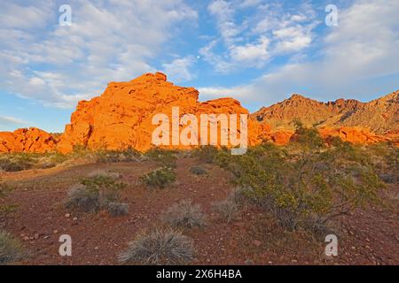 Sagebrush (specie Artemisia), cespuglio di creosoto (Larrea tridentata) e formazioni di roccia rossa con un cielo spettacolare nell'area ricreativa nazionale del lago Mead Foto Stock