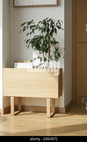 Design minimalista, contenitore in legno o vaso di fiori nell'appartamento, concetto di arredamento Foto Stock
