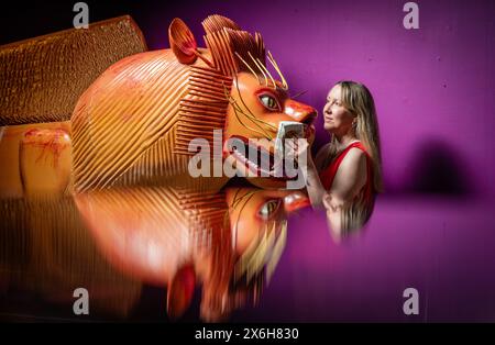 Kat Baxter curatore di archeologia, pulisce una bara a forma di leone (riflessa in un armadietto di vetro) realizzata dal famoso falegname ghanese Paa Joe, noto per la scultura di abebuu adekai, o "proverbi box", che mirano a catturare elementi della vita della persona defunta. La bara fa parte della mostra Living with Death al Leeds City Museum, che esplora i diversi modi in cui le persone sperimentano la morte, la morte e il dolore. Data foto: Mercoledì 15 maggio 2024. Foto Stock
