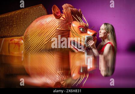 Kat Baxter curatore di archeologia, pulisce una bara a forma di leone (riflessa in un armadietto di vetro) realizzata dal famoso falegname ghanese Paa Joe, noto per la scultura di abebuu adekai, o "proverbi box", che mirano a catturare elementi della vita della persona defunta. La bara fa parte della mostra Living with Death al Leeds City Museum, che esplora i diversi modi in cui le persone sperimentano la morte, la morte e il dolore. Data foto: Mercoledì 15 maggio 2024. Foto Stock