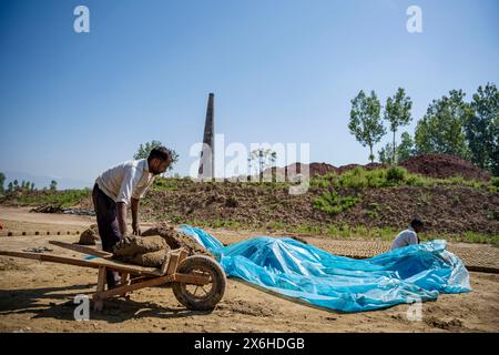 Un operaio non locale carica fango su un carrello per trasportarlo per fabbricare mattoni in un forno di mattoni a Budgam. La notevole emissione di elementi tossici dai forni da mattoni rappresenta una grave minaccia per la salute pubblica e l'ambiente. Questi forni rilasciano fumi dannosi che possono influenzare negativamente gli occhi, i polmoni e la gola delle persone esposte a loro. Nel Jammu e nel Kashmir, i problemi di inquinamento dei tradizionali forni di mattoni vengono affrontati con il passaggio alla tecnologia a zig zag. La tecnologia a zig zag introduce un motivo a zig zag nel sistema di cottura del forno. Questo design consente un flusso d'aria più controllato, ottimizzandolo Foto Stock