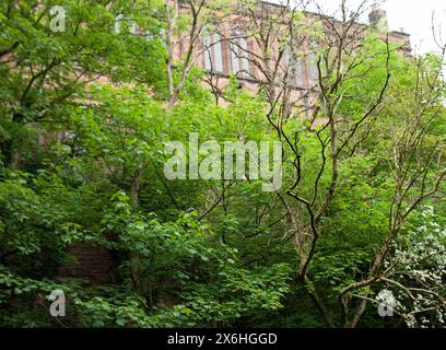 Kelvinbridge Parish Church from the River Kelvin; Glasgow; Scozia, Regno Unito Foto Stock