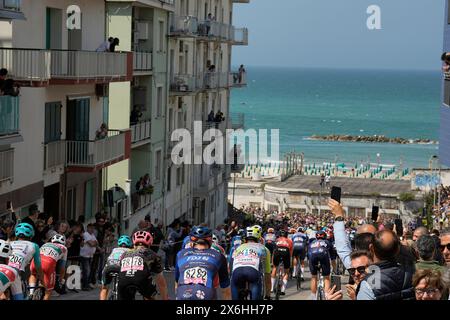 Italia. 15 maggio 2024. Il branco cavalca a Termoli della tappa 11 del giro d'Italia da Foiano di Val Fortore a Francavilla al Mare, 15 maggio 2024 Italia. (Foto di Marco Alpozzi/LaPresse) credito: LaPresse/Alamy Live News Foto Stock