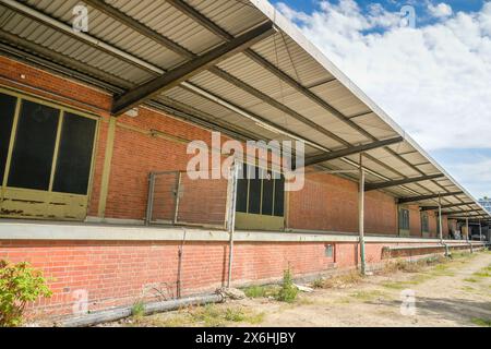 Rieckhallen, Hamburger Bahnhof, Moabit, Mitte, Berlino, Germania Foto Stock