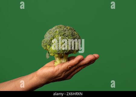 Green Wellness Grasp: Mano che tiene i Broccoli su uno sfondo vivace Foto Stock