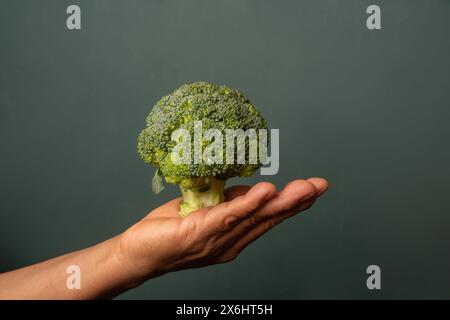 Green Wellness Grasp: Mano che tiene i Broccoli su uno sfondo vivace Foto Stock