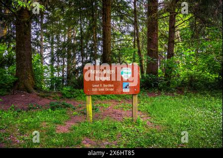 Punto panoramico dei ponti naturali nel Samuel H. Boardman State Scenic Corridor Foto Stock