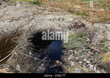 Olio motore versato nella foresta - inquinamento del suolo. Olio a terra. Foto Stock