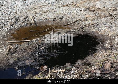 Perdita di olio motore nella foresta - inquinamento del suolo. Olio a terra. Foto Stock