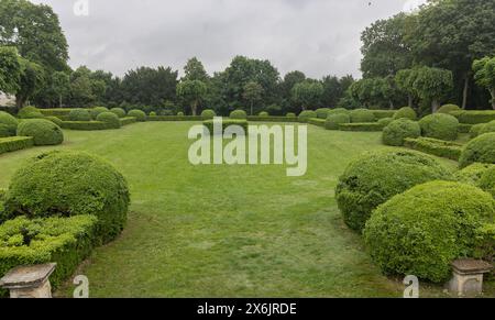 Castello di Halbturn, Halbturn, parco del castello, viale, Austria Foto Stock