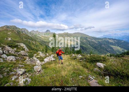 Alpinista a Niedergailer Joch, paesaggio montano con verdi prati di montagna e vette, Carnic Main Ridge, Carnic Alps, Carinzia Foto Stock