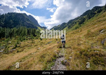 Alpinista su un sentiero escursionistico, paesaggio montano con prati verdi, salita a Schoenjochl, Obergailtal, Carnic Main Ridge, Carnic Alps, Carinzia Foto Stock