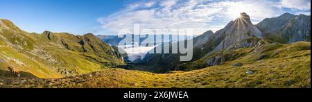 Panorama, valle di montagna e panorama montano alla luce del mattino, vista su Winkler tal con la cima Rosskopf, Sonnenstern, la cresta principale Carnic Foto Stock