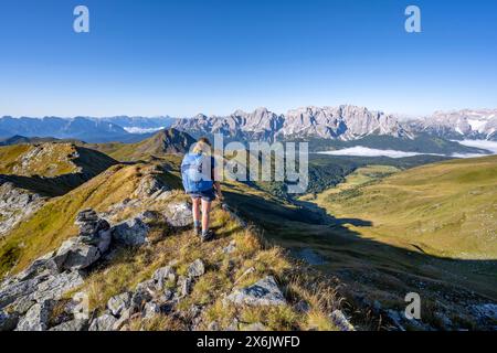 Alpinista su un crinale erboso, panorama montano, vista delle cime rocciose delle Dolomiti di Sesto, crinale Carnic, Sentiero Carnic, Carnic Foto Stock