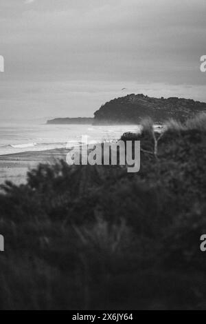 Foto in bianco e nero sulla spiaggia al tramonto, paesaggio roccioso e un gabbiano in volo sullo sfondo. Preso a Waihi Beach in nuova Zelanda Foto Stock