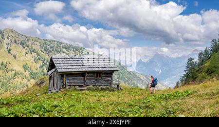 Escursionista di fronte al rifugio, stadl tra verdi prati di montagna, Carnic Main Ridge, Carnic High Trail, Carnic Alps, Carinthia, Austria Foto Stock