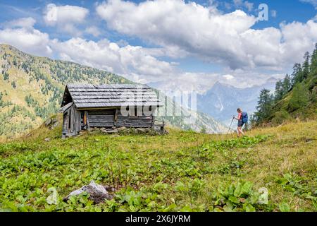 Escursionista di fronte al rifugio, stadl tra verdi prati di montagna, Carnic Main Ridge, Carnic High Trail, Carnic Alps, Carinthia, Austria Foto Stock