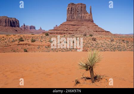 West Mitten Butte dal fondovalle nella Monument Valley, Arizona, USA, il 21 aprile 2024 Foto Stock