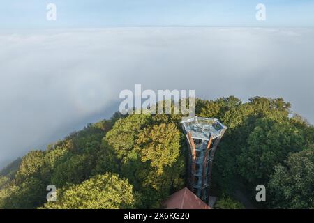 Atmosfera nebbia a Zabelstein, Hundelshausen, Michelau im Steigerwald, Schweinfurt, bassa Franconia, Franconia, Baviera, Germania, Europa Foto Stock