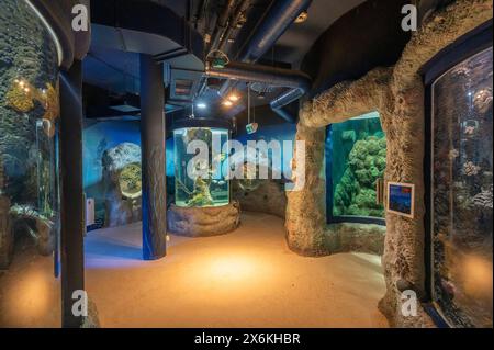 Aquarium Westerland, Sylt, Schleswig-Holstein, Germania Foto Stock