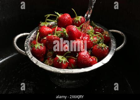 Lavare le fragole fresche sotto l'acqua corrente in un colino metallico nel lavandino Foto Stock