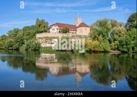 Municipio storico Lauffen am Neckar, Neckartal, Neckar, strada del vino di Württemberg, Baden-Württemberg, Germania Foto Stock