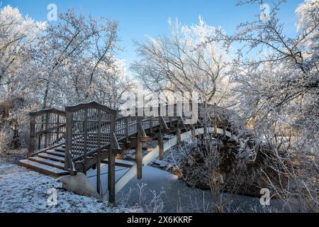 Inverno nel parco cittadino di Rotehorn, Magdeburgo, Sassonia-Anhalt, Germania Foto Stock