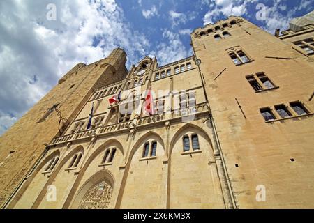 Facciata del municipio, Narbonne, Languedoc, Francia Foto Stock