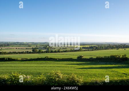 Mercoledì 15 maggio 2024 - Wittenham clumps, vicino a Didcot, Oxfordshire. Foto Stock