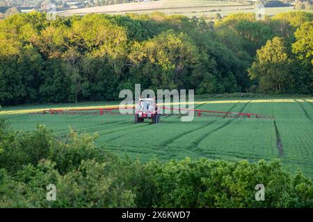 Mercoledì 15 maggio 2024 - Wittenham clumps, vicino a Didcot, Oxfordshire. Foto Stock