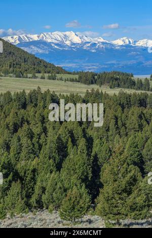 picchi della catena dell'anaconda vicino ad anaconda, montana Foto Stock