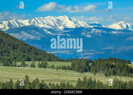 Montare haggin in anaconda intervallo vicino anaconda, montana Foto Stock