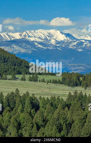 Montare haggin in anaconda intervallo vicino anaconda, montana Foto Stock