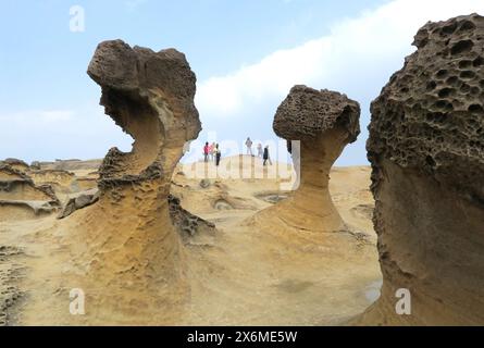 Bizzarre formazioni rocciose create dall'erosione: Il Geopark Yehliu vicino a Taipei, Taiwan, si trova sul Mar Cinese meridionale ed è un'escursione popolare destin Foto Stock