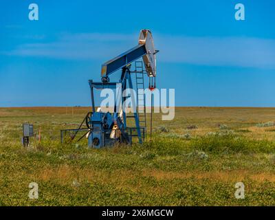 Un piccolo martinetto a pompa che produce olio da un pozzo poco profondo nel sud dell'Alberta Foto Stock