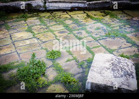 Antiche pietre ricoperte di muschio sott'acqua limpida Foto Stock