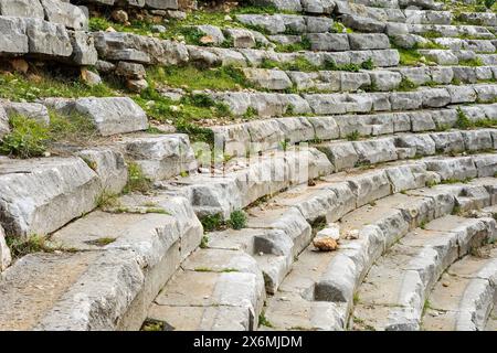Primo piano di gradini in pietra nell'antico anfiteatro con vegetazione Foto Stock