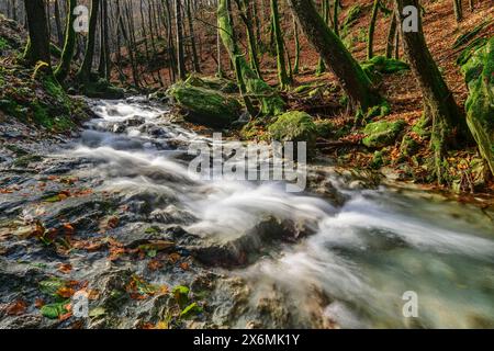 Torrente di montagna che scorre attraverso la foresta autunnale, Monte Ronchi, Alpi Apuane, Toscana, Italia Foto Stock