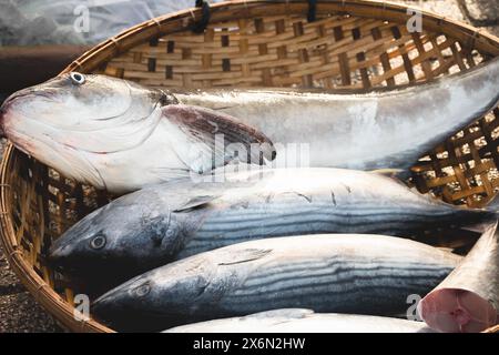 Pesci diversi sono collocati in cesti diversi e venduti al mercato del pesce. Le catture taglienti appena pescate attendono la vendita. Pescivendolo locale che vende fres Foto Stock