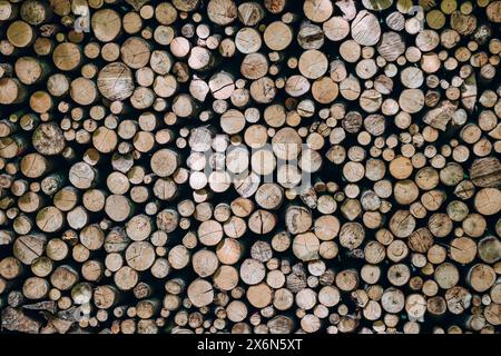 Legna da ardere preparata per l'inverno e accatastata per asciugare nella foresta Foto Stock