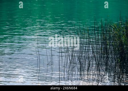 Vista sul lago Alatsee in Baviera, Germania Foto Stock