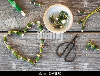 Vista dall'alto del decor a forma di cuore con gemme di dente di leone. Artigianato creativo con materiali naturali. Concetto di artigianato per bambini facile e divertente. Foto Stock