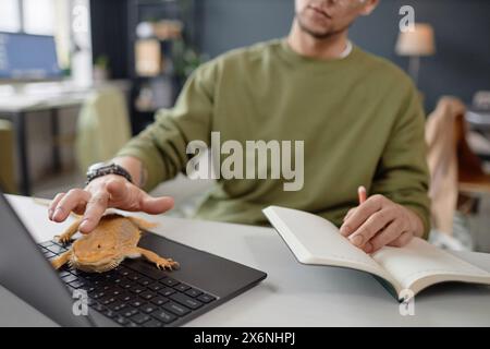 Primo piano di un uomo irriconoscibile che accarezza l'iguana seduto sulla tastiera del computer portatile mentre lavora nell'ufficio fotocopie in cui sono ammessi gli animali domestici Foto Stock