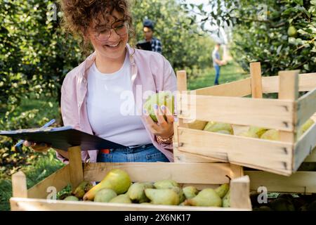 Giovane agricoltore che lavora in un frutteto di pere. Foto Stock