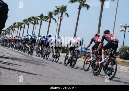 Termoli, Italia. 15 maggio 2024. Vista generale del gruppo che passa lungo il lungomare settentrionale di Termoli durante il 107° giro d'Italia 2024 - tappa 11 da Foiano di Val Fortore a Francavilla al Mare. Credito: SOPA Images Limited/Alamy Live News Foto Stock