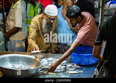 A Jatrabari, Dacca, Bangladesh, i venditori si affollano di attività, vendendo pesce nel vivace mercato del pesce all'ingrosso la mattina presto. Questa immagine era maiuscola Foto Stock