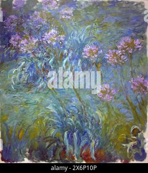 Agapanthus, tra il 1914 e il 1926, Museum of Modern Art, New York Claude Monet Foto Stock