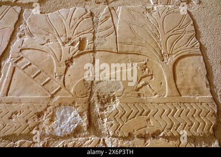 Rilievi punt al Tempio di Hatshepsut a Deir el Bahari, Cisgiordania, Luxor Egitto Foto Stock